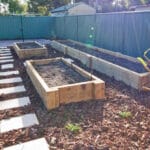 Back yard after